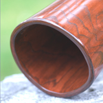 Didgeridoo1